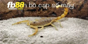 Mơ thấy bọ cạp